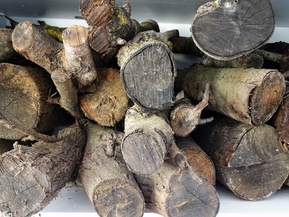 شقة Focolare Caces المظهر الخارجي الصورة